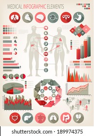 Medical infographics elements. Human body with internal organs. Vector. 