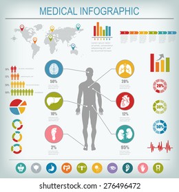 Medical infographics elements. Human body with internal organs. Vector illustration.