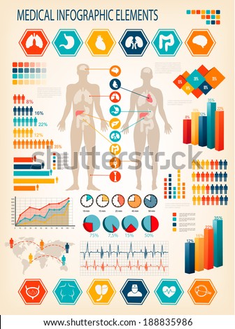 Medical infographics elements. Human body with internal organs. Vector. 