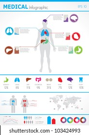 Medical infographics. Human body with internal organs