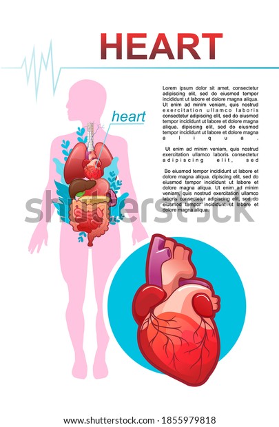 Medical Information Poster On White Background Stock Vector (Royalty ...