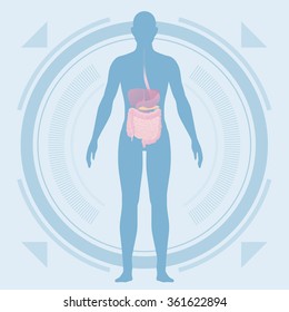 medical interface, human whole body and digestive organs, vector illustration