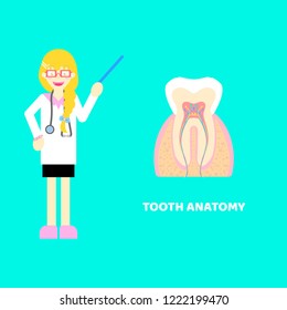 medical internal organs body part nervous system anatomy surgery tooth teeth health care with doctor,stethoscope in cyan background,flat vector illustration cartoon design,isolated  character costume