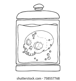Medical jar and skull in liquid  Skull without lower jaw  Fluid and bubbles  Vector illustration 