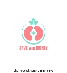 medical kidney logo. Illustration art of a kidney logo with isolated background