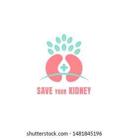 medical kidney logo. Illustration art of a kidney logo with isolated background