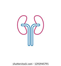 Medical, kidneys colored icon. Element of medicine illustration. Signs and symbols icon can be used for web, logo, mobile app, UI, UX