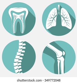 Medical labels set, diagnostic clinic badges, healthcare design elements.