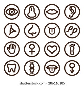 Icono de línea médica para web y móvil. El conjunto incluye: diente, ojo, oído, mano, hueso, labios, lengua. 
