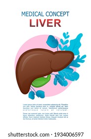 Medical liver poster, internal organ design