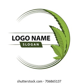 medical marijuana, cannabis green leaf logo. vector illustration.
