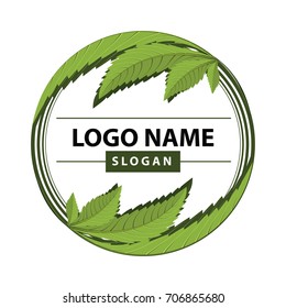 Medical Marijuana, Cannabis Green Leaf Logo. Vector Illustration.