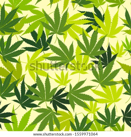 Medical marijuana leaves seamless pattern, vector background. 