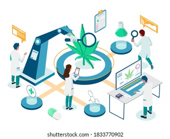 Medical Marijuana Plant Lab Research Isometric Flowchart, Flat Vector Illustration. Scientist Doctor Technician Cartoon Characters Using Cannabis Testing Equipment. Cannabis Breeding For Medical Uses.