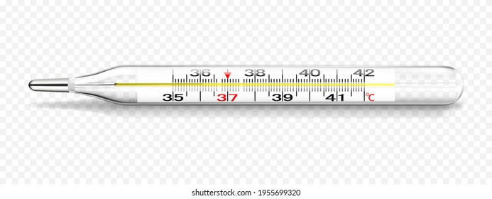 Medizinisches Quecksilberthermometer auf weißem Hintergrund. Ein realistisches Temperaturdiagnosewerkzeug. 3D-Vektorgrafik