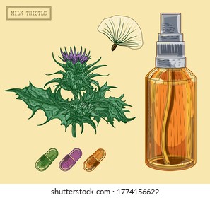 Medical milk thistle plant and sprayer bottle, hand drawn illustration in a retro style