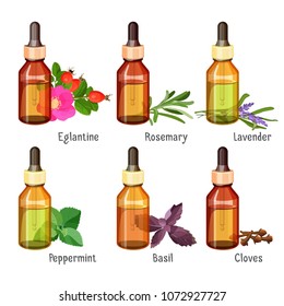 Medical natural oils of wild herbs in bottles