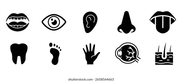 Medical organs icon, Anatomical vector pictograms of human internal organs, body parts, in transparent background.
