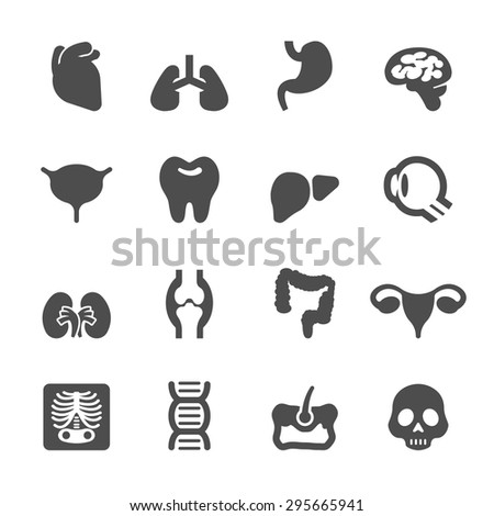 medical and organs icon set, vector eps10.