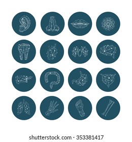 Medical Polygonal Symbols of organs. Abstract Lined Set of icons: Tooth, Foot, Bladder, Intestine, Nose, Ear, Brain, Stomach, Liver, Kidneys, Lungs, Heart, Hand, Eye, Lips and Bones