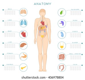 A medical poster with the human anatomy and internal organs.