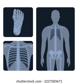 Medical radiology. Different x-ray or radiographic images of human body bones and parts 