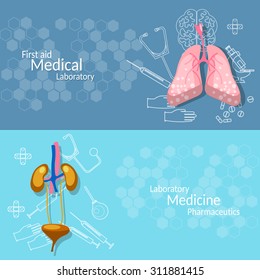 Medical research internal human organs lungs liver kidneys vector banners 