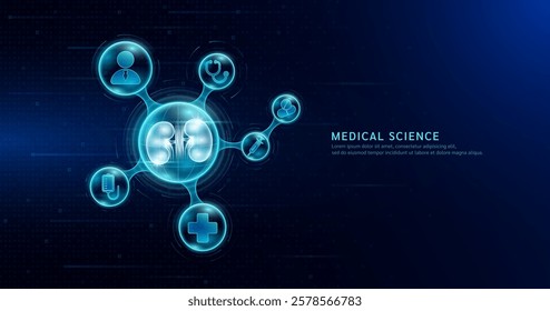 Medical science. Human kidney organ inside transparent molecule with icons doctor pill syringe stethoscope saline bag and cross. On dark blue digital technology background. Vector EPS10.