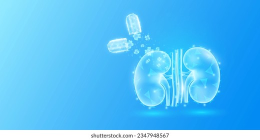 Medical sign symbol blue cross floats out capsule absorbs into the kidney. Emergency medicine first aid and health care innovation treatment. Human organ translucent low poly triangles. Vector.