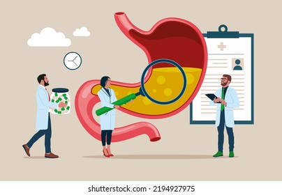 Medizinische Spezialisten, die Spenderinnorgan studieren. Ärzte, die Schecks untersuchen, Magenschmerzen. Medizin, Physiologie und Pharmazie-Forschung. Vektorgrafik.