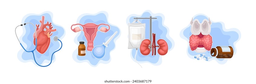 Medical Supplies and Internal Organs Vector Composition Set