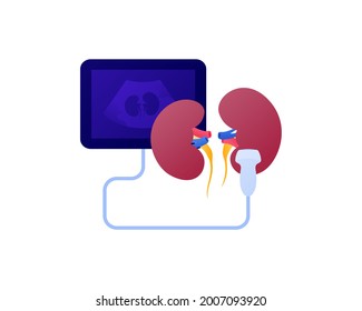 Medical ultrasound procedure concept. Vector flat healthcare color icon illustration. Nephrolory specialization. Kidney and ultrasonography device symbol. Design for health care.