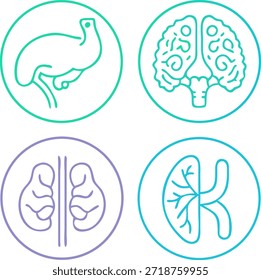 medical Vector icon set containing doctor medicine, Vector illustration Drawing, Medical Equipment icon