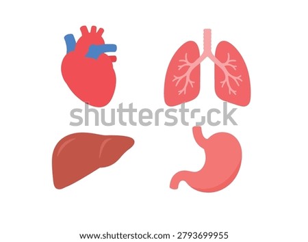 Medical vector icon set of human anatomy. Minimalist flat design of internal body organs for educational or healthcare infographic
