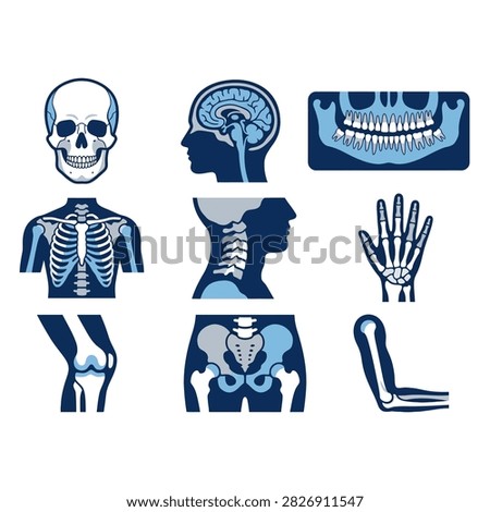 Medical vector icons featuring human skeletal anatomy and organs