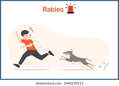 Medical vector illustration in flat style. Rabies concept.A gray dog ​​infected with rabies.Chasing and biting a man who was running away in extreme shock. Dogs can be carriers of rabies.