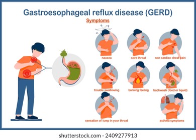 Medical vector illustration in flat style.Symptoms of Gastroesophageal reflux disease.Illustration of a human stomach filled with gas and a man in stomach and throat pain caused by acid reflux.