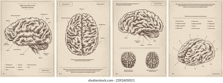 Medical vintage posters set. Minimalistic creativity and art. Anatomy and biology, infographic. Covers or banners for website. Cartoon flat vector collection isolated on white background