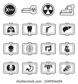 Medical X-Ray Icons. Line With Fill Design. Vector Illustration.