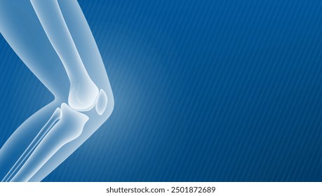 Medical X-Ray Style Leg Bone And Knee Joint Side View. EPS10 Vector