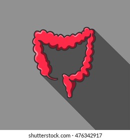 medically accurate illustration of the colon vector. EPS