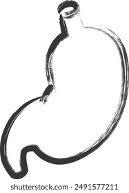 Medical-related brush-drawn single illustration stomach