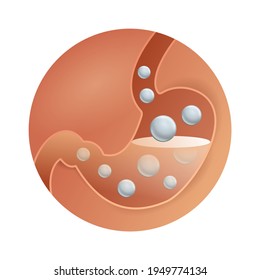 Medication For Normalizing The Digestive System - Icon Or Emblem. Human Stomach Slice With Some Active Components - For Gastro Medical Drugs Packaging - Isolated Vector Symbol