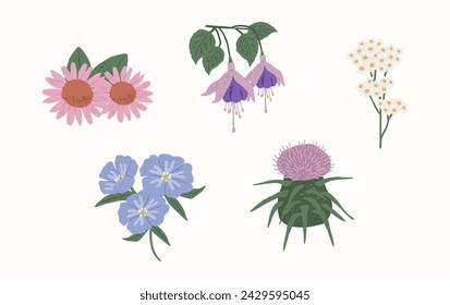 Ilustración vectorial de flores medicinales en estilo plano