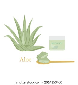medicinal herbs. aloe vera. cosmetics. cosmetic for face .jar of cosmetic cream