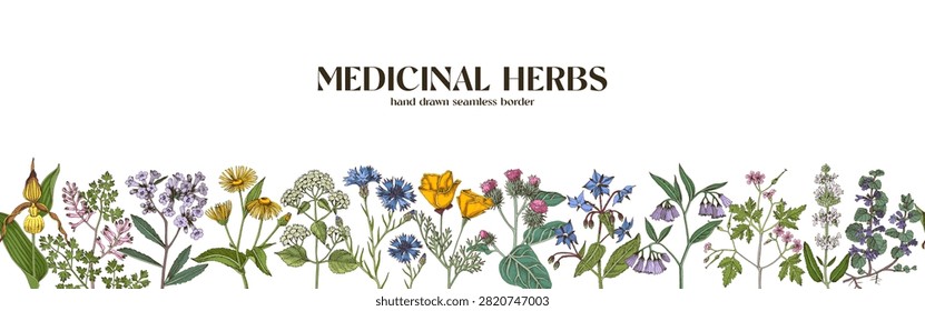Medicinal herbs of American West horizontal seamless border