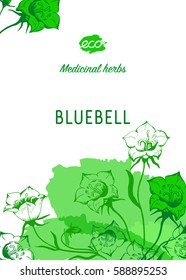 Medicinal herbs banner. Bluebell vector illustration. Design for eco, nature products, pharmacy cosmetics, body care product, covers, cards, packaging and more.