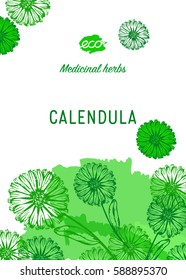Medicinal herbs banner. Calendula vector illustration. Design for eco, nature products, pharmacy cosmetics, body care product, covers, cards, packaging and more.