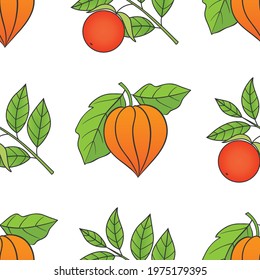 Medicinal herbs collection. Vector graphic seamless pattern with medicinal ashwagandha plant on a white background