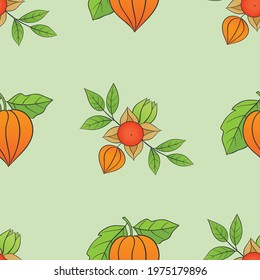Medicinal herbs collection. Vector graphic seamless pattern with medicinal ashwagandha plant on a light green background